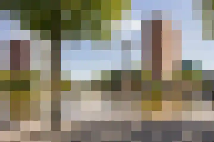 Emmasingel 23 Groningen thumbnail 47