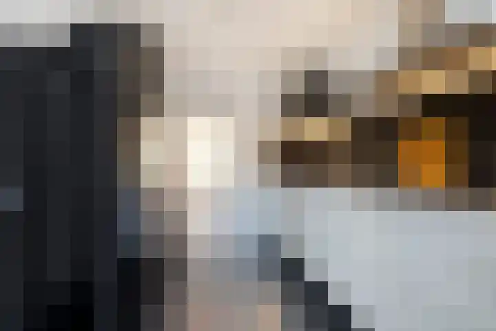 Emmasingel 30 Groenlo thumbnail 15