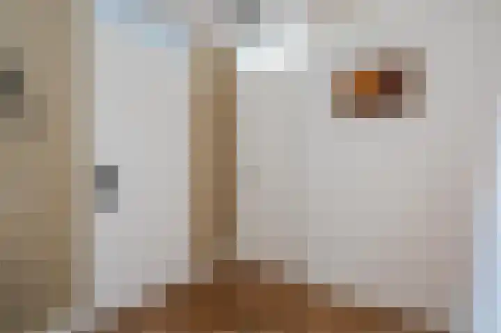 Emmasingel 30 Hendrik-Ido-Ambacht thumbnail 34