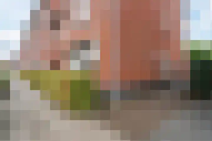 Emmasingel 30 Hendrik-Ido-Ambacht thumbnail 8