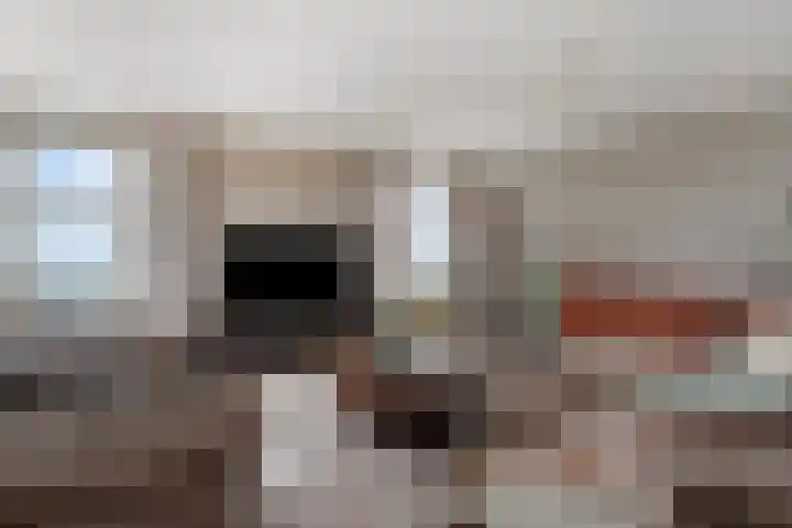 Emmasingel 31 129 Eindhoven thumbnail 15