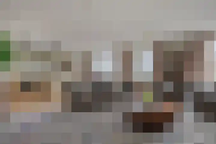 Emmasingel 31 129 Eindhoven thumbnail 17