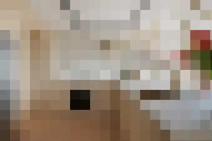 Emmasingel 31 129 Eindhoven thumbnail 22
