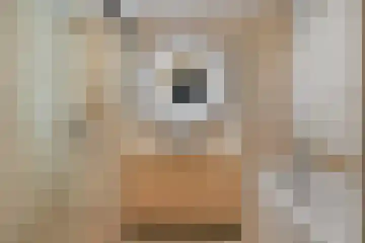 Emmasingel 31 129 Eindhoven thumbnail 4