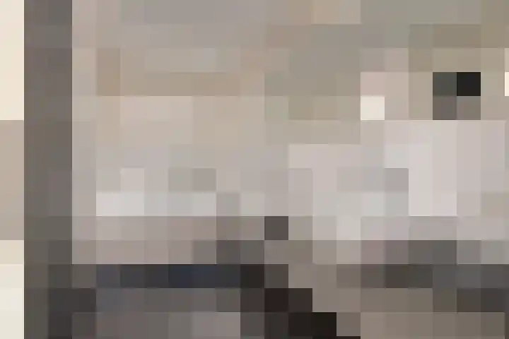 Emmasingel 31 131 Eindhoven thumbnail 33