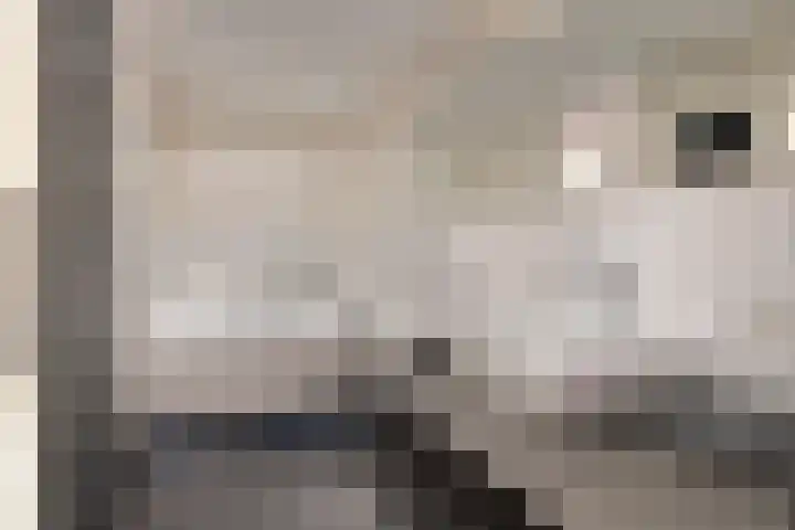 Emmasingel 31 131 Eindhoven thumbnail 4