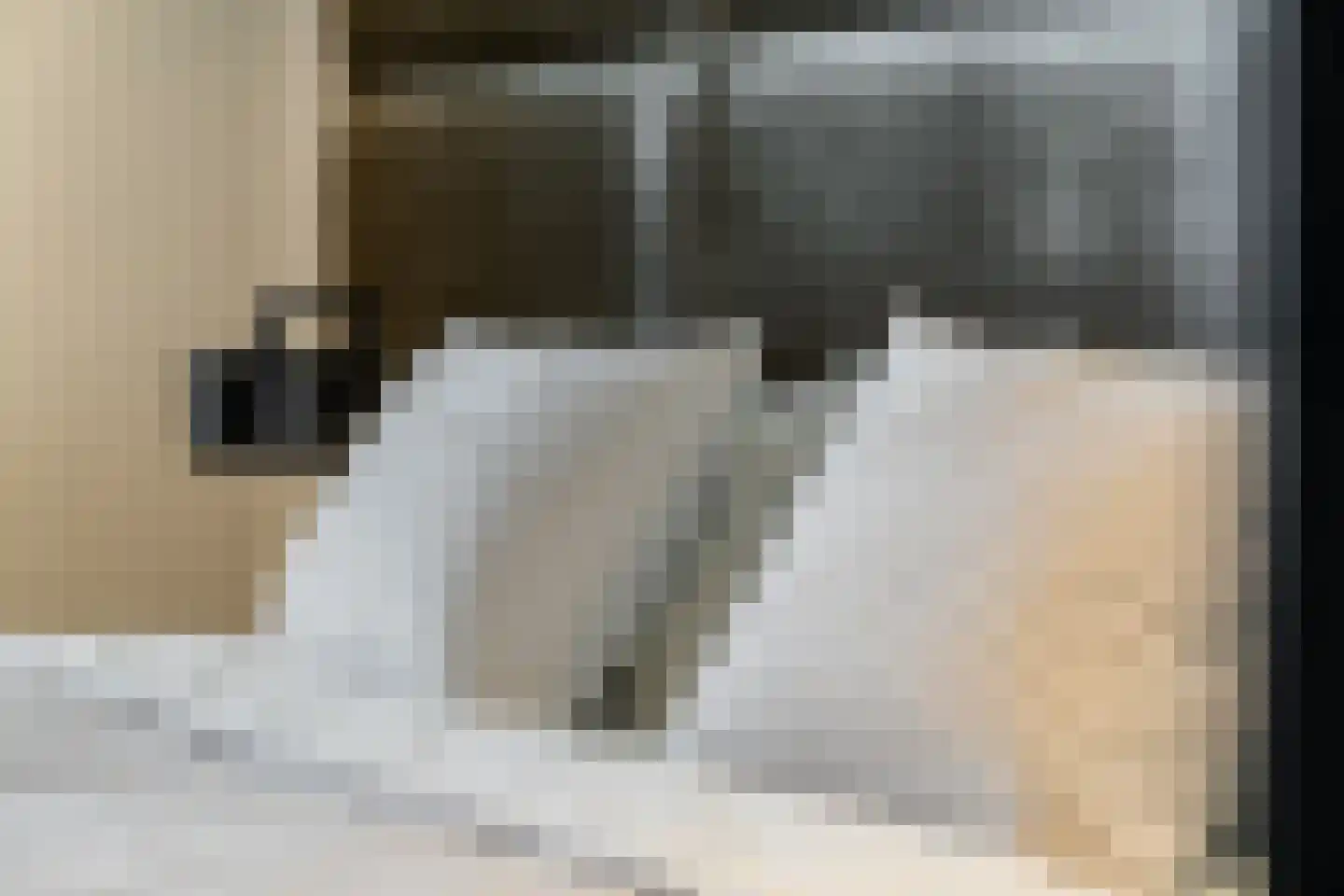 Emmasingel 31 143 Eindhoven thumbnail 21