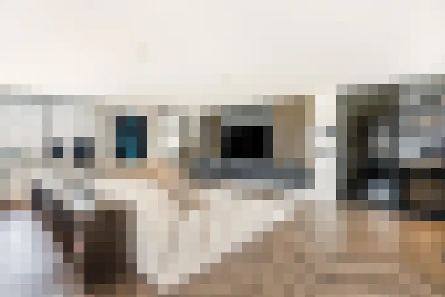 Emmasingel 31 143 Eindhoven thumbnail 25