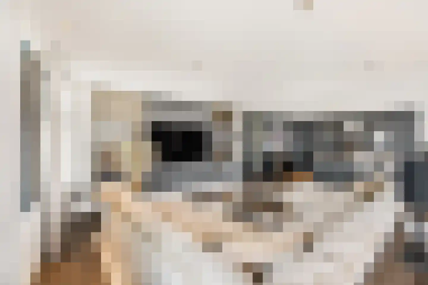 Emmasingel 31 143 Eindhoven thumbnail 28
