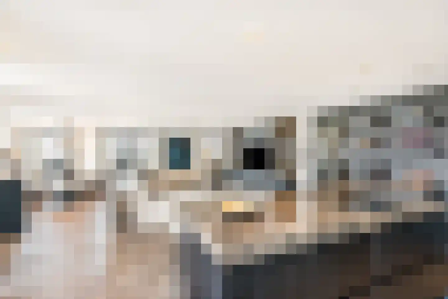 Emmasingel 31 143 Eindhoven thumbnail 30