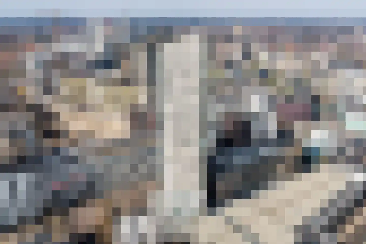 Emmasingel 31 143 Eindhoven thumbnail 52
