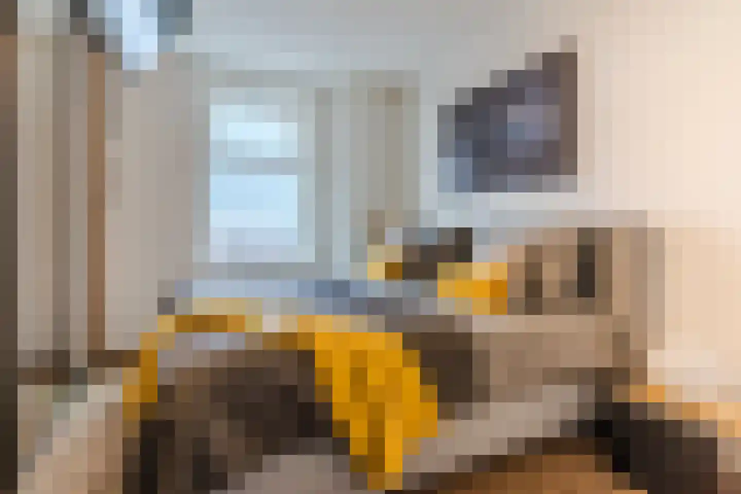 Emmasingel 31 173 Eindhoven thumbnail 36