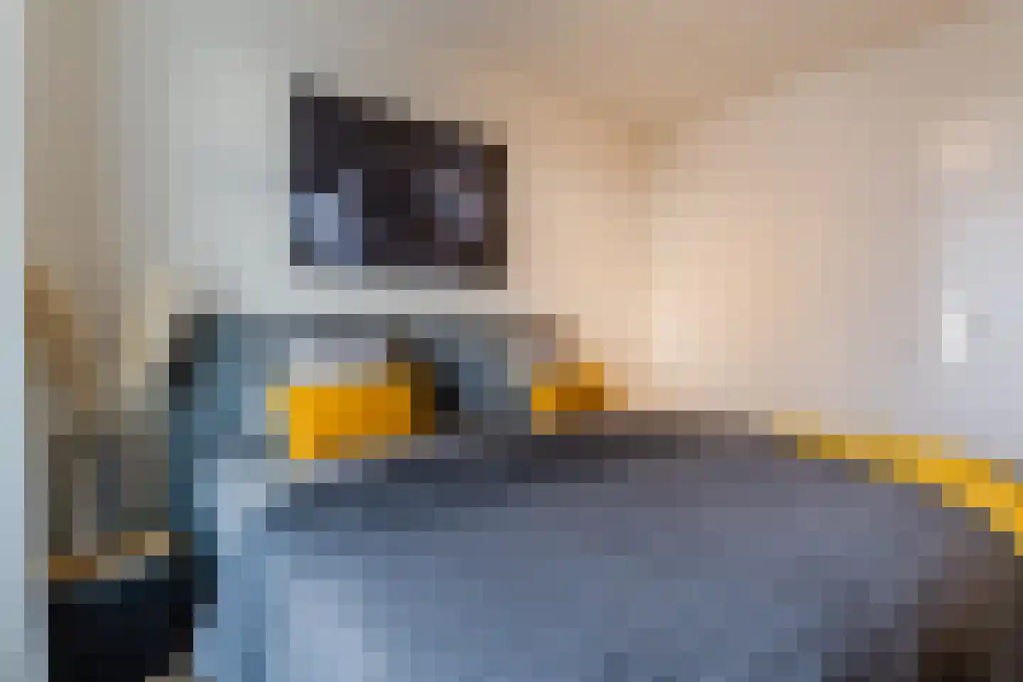 Emmasingel 31 173 Eindhoven thumbnail 37