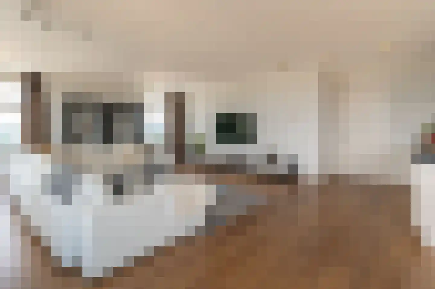 Emmasingel 31 217 Eindhoven thumbnail 5