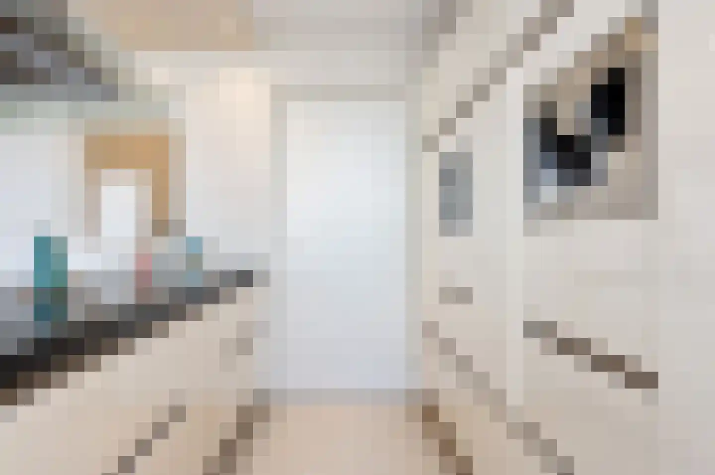 Emmasingel 31 237 Eindhoven thumbnail 12