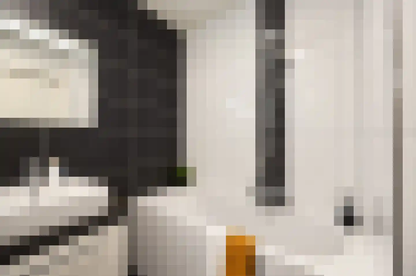Emmasingel 31 237 Eindhoven thumbnail 17
