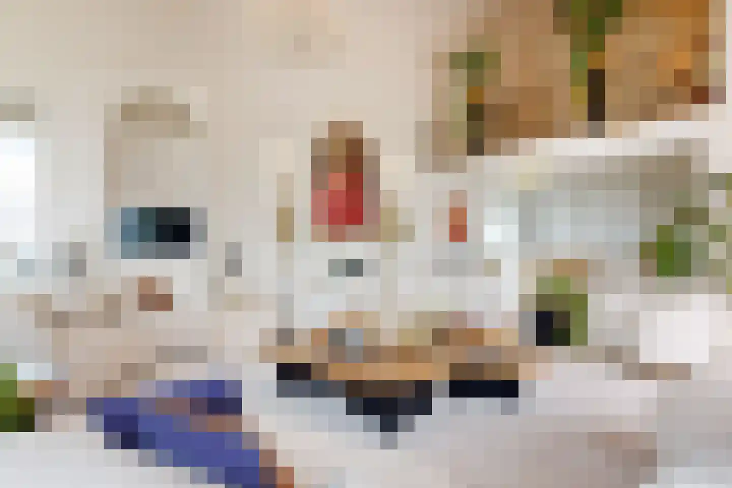 Emmasingel 31 285 Eindhoven thumbnail 7