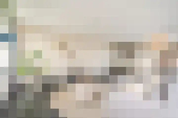 Emmasingel 31 77 Eindhoven thumbnail 14