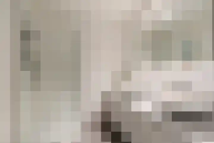 Emmasingel 31 77 Eindhoven thumbnail 28