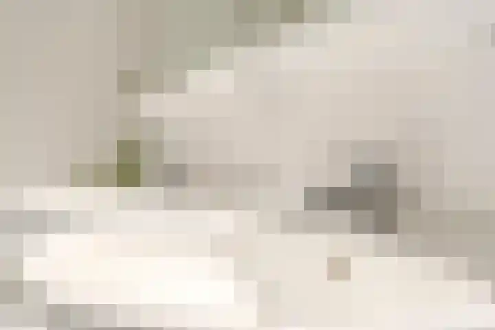 Emmasingel 31 77 Eindhoven thumbnail 29