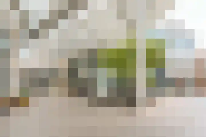 Emmasingel 31 77 Eindhoven thumbnail 4