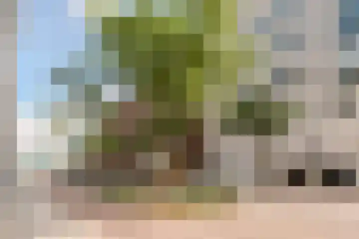 Emmasingel 31 77 Eindhoven thumbnail 6