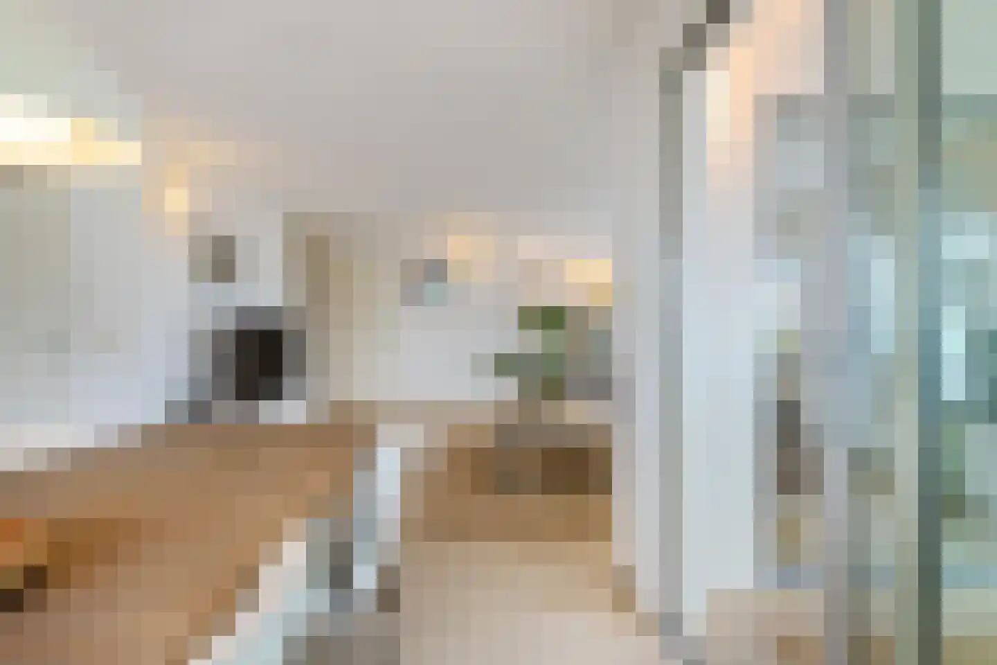 Emmasingel 31 Groningen thumbnail 18