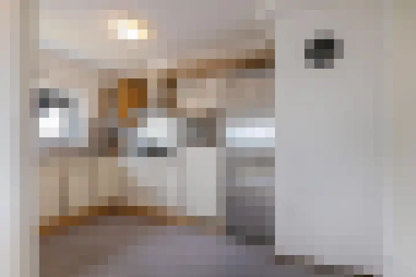 Emmasingel 31 Groningen thumbnail 21