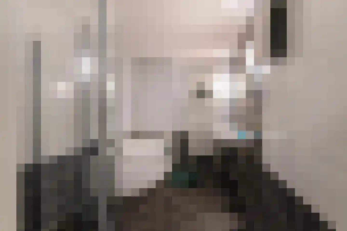 Emmasingel 31 Groningen thumbnail 28