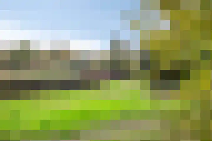 Emmasingel 35 Groenlo thumbnail 29