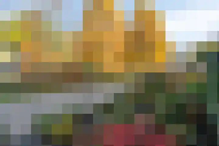 Emmasingel 35 Groenlo thumbnail 30