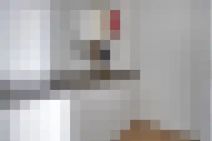 Emmasingel 39 C Eindhoven thumbnail 34