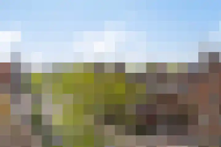 Emmasingel 39 C Eindhoven thumbnail 37