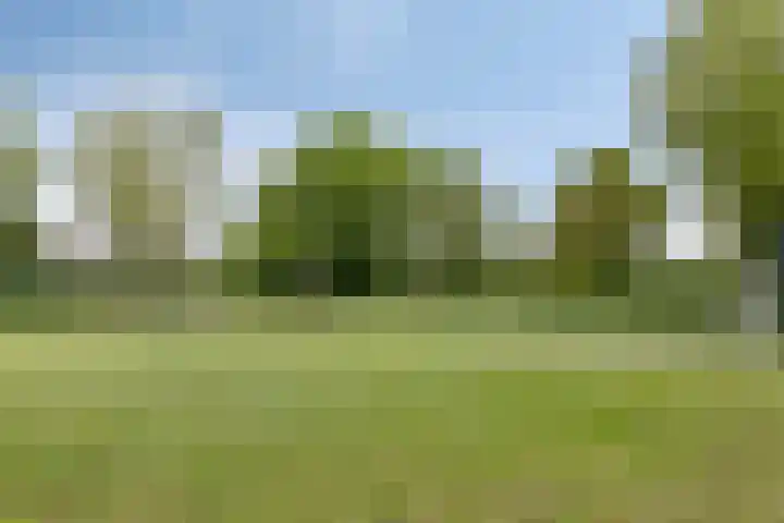 Emmasingel 48 Groenlo thumbnail 41