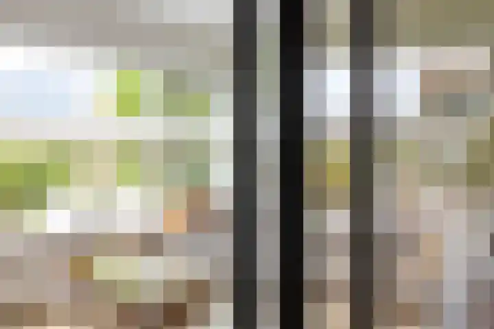 Emmasingel 48 Groenlo thumbnail 7