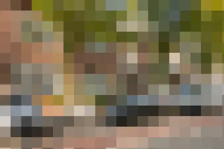 Emmasingel 50 in Weert