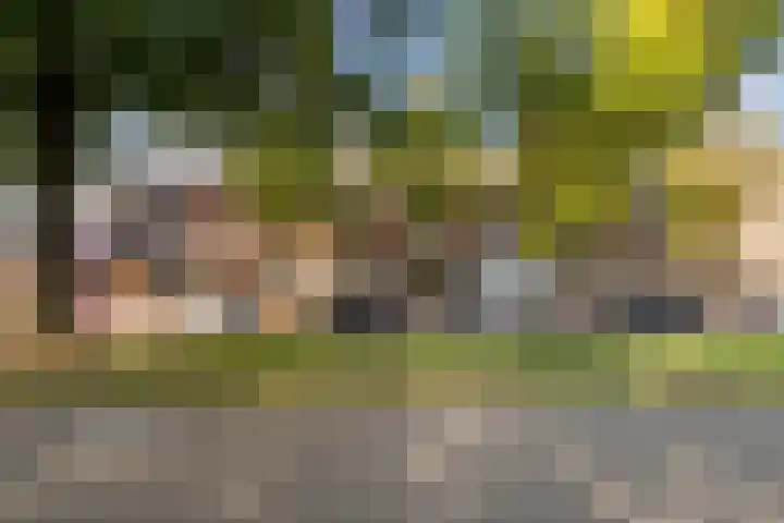 Emmasingel 50 Weert thumbnail 49