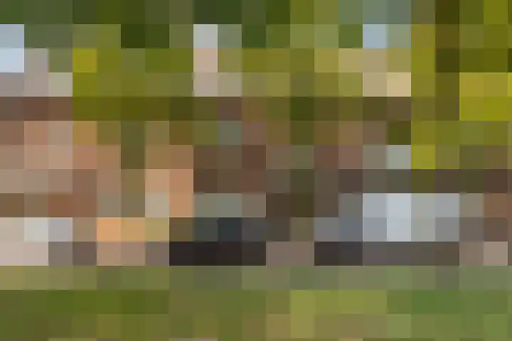 Emmasingel 50 Weert thumbnail 6
