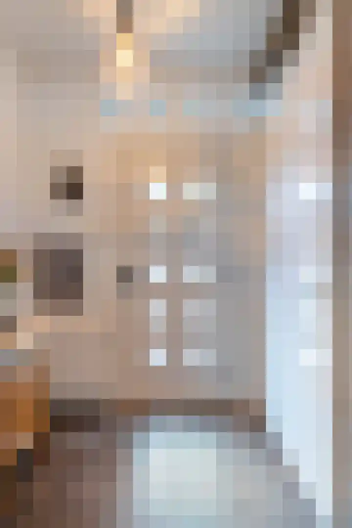 Emmasingel 50 Weert thumbnail 8
