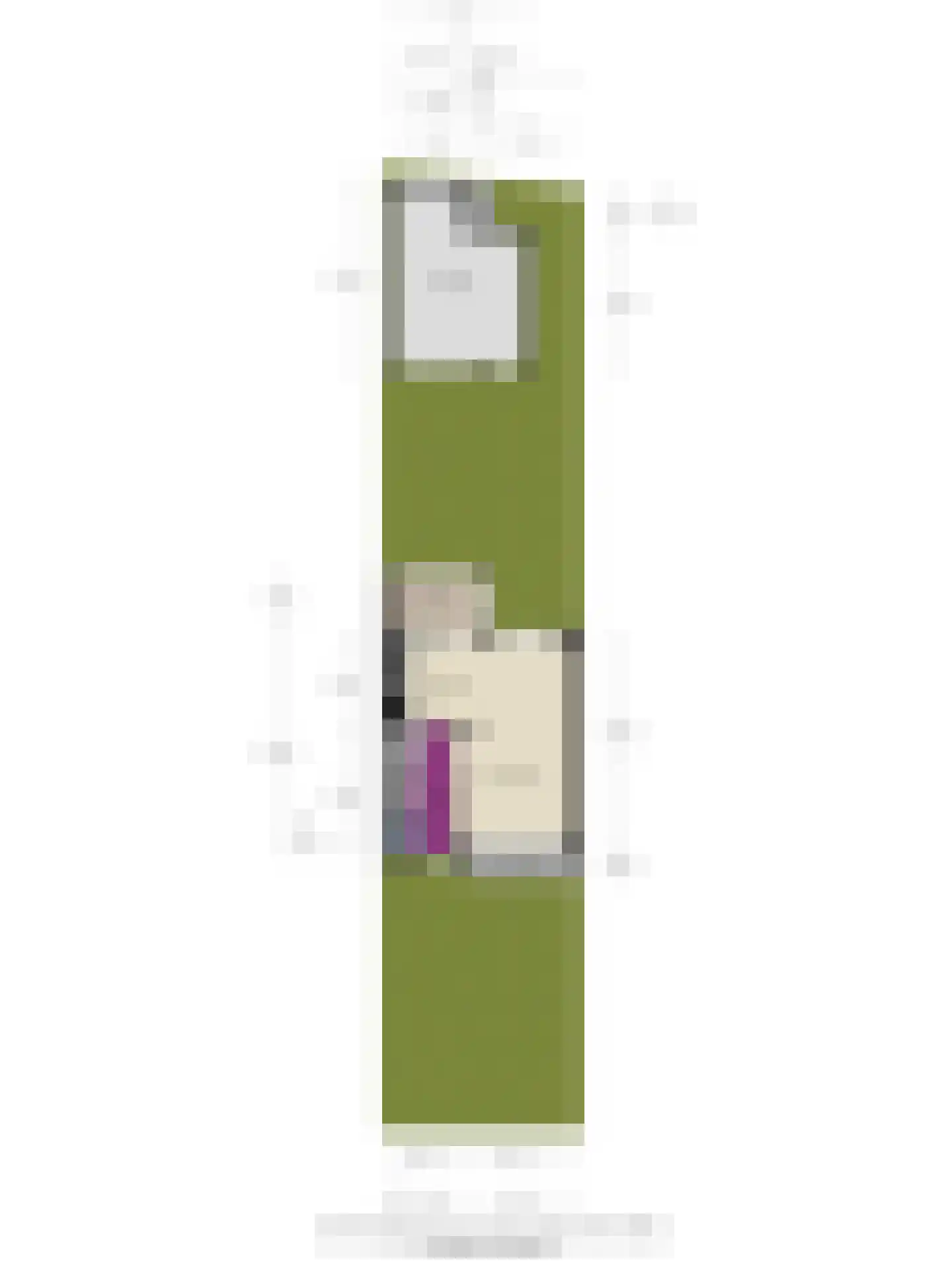 Emmasingel 53 Groenlo thumbnail 27