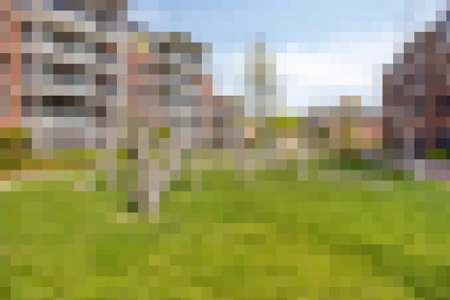 Emmasingel 6 C Hendrik-Ido-Ambacht thumbnail 36