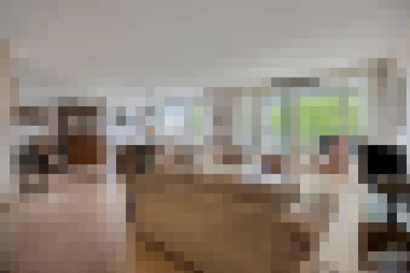Emmasingel 6 C Hendrik-Ido-Ambacht thumbnail 4