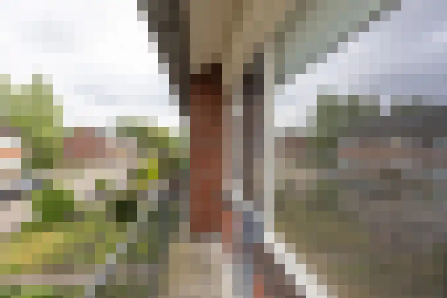 Emmasingel 61 Groenlo thumbnail 16
