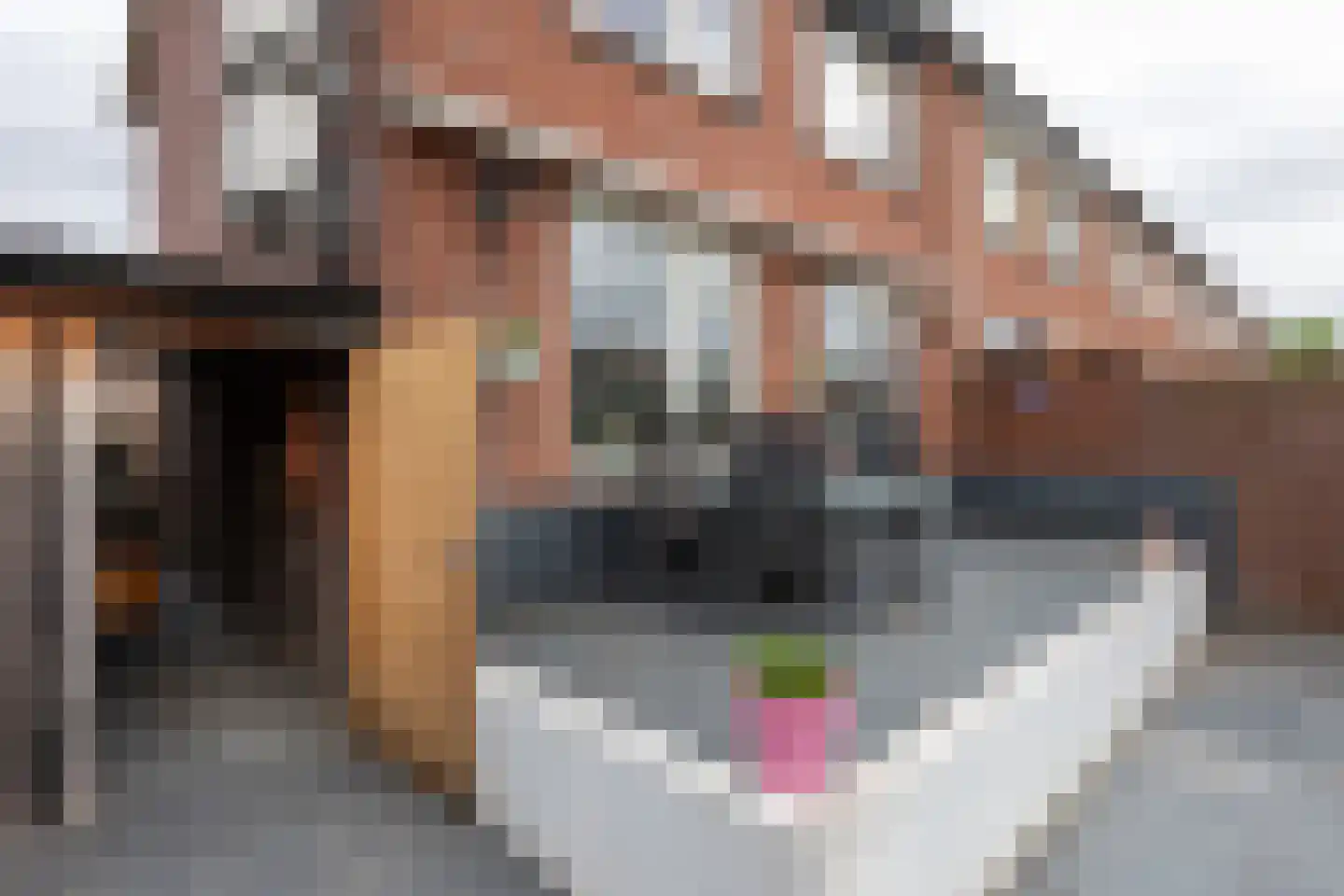 Emmasingel 61 Groenlo thumbnail 29