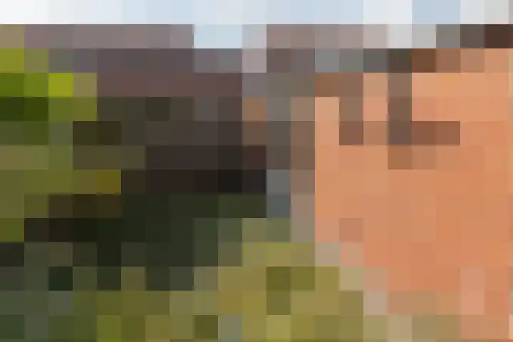 Emmasingel 65 Groenlo thumbnail 26