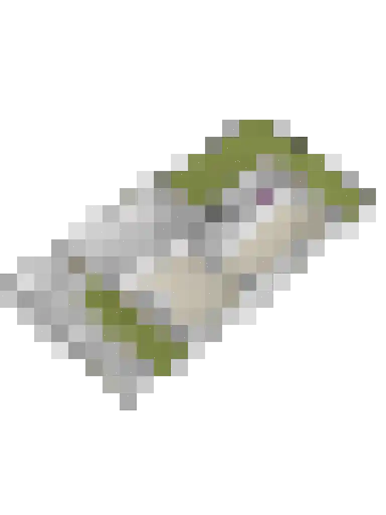 Emmasingel 72 Groenlo thumbnail 33