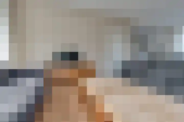 Emmasingel 80 Groenlo thumbnail 12
