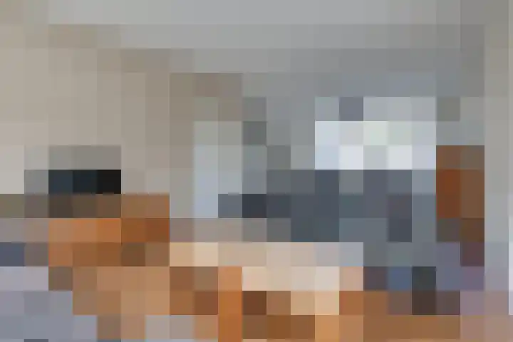 Emmasingel 80 Groenlo foto 2