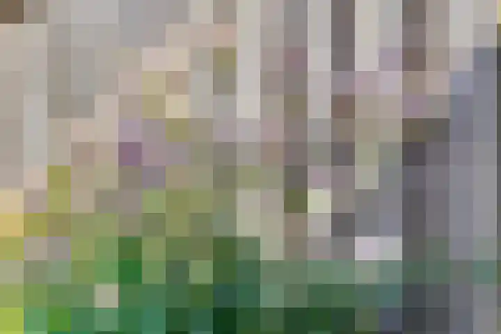 Emmasingel 80 Groenlo thumbnail 47