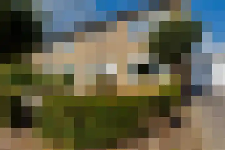 Emmasingel 80 Groenlo thumbnail 62